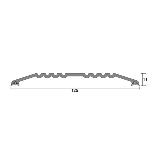 IS4040 x 1000mm-11mm High Flat Threshold 125mm CA